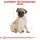 ROYAL CANIN Pug Adult Hundefutter trocken für Mops 3 Kg