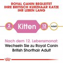 ROYAL CANIN British Shorthair Kittenfutter trocken f&uuml;r BKH K&auml;tzchen 10 Kg