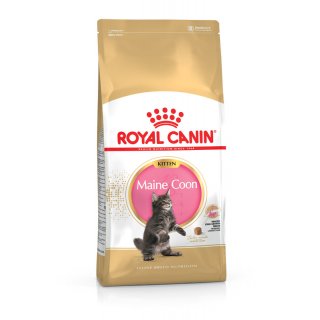 ROYAL CANIN Maine Coon Trockenfutter für Kätzchen 10 Kg