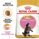 ROYAL CANIN Maine Coon Trockenfutter für...