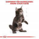 ROYAL CANIN Maine Coon Trockenfutter f&uuml;r K&auml;tzchen 10 Kg