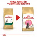 ROYAL CANIN Maine Coon Trockenfutter f&uuml;r K&auml;tzchen 10 Kg