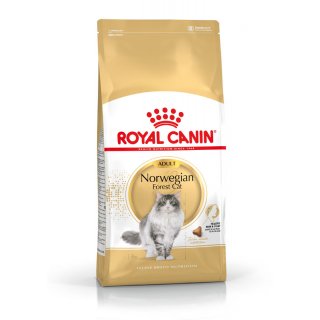 ROYAL CANIN Norwegian Forest Cat Adult Trockenfutter für Norwegische Waldkatzen 10 Kg