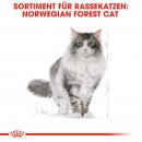 ROYAL CANIN Norwegian Forest Cat Adult Trockenfutter f&uuml;r Norwegische Waldkatzen 10 Kg