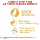 ROYAL CANIN Norwegian Forest Cat Adult Trockenfutter f&uuml;r Norwegische Waldkatzen 10 Kg