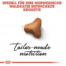 ROYAL CANIN Norwegian Forest Cat Adult Trockenfutter f&uuml;r Norwegische Waldkatzen 10 Kg