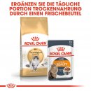 ROYAL CANIN Norwegian Forest Cat Adult Trockenfutter f&uuml;r Norwegische Waldkatzen 10 Kg