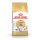 ROYAL CANIN Norwegian Forest Cat Adult Trockenfutter für Norwegische Waldkatzen 10 Kg