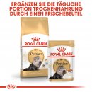 ROYAL CANIN Persian Adult Katzenfutter nass f&uuml;r Perser-Katzen 12x85 g