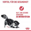 ROYAL CANIN Digestive Care Trockenfutter f&uuml;r Katzen mit empfindlicher Verdauung 10 Kg