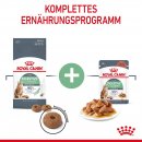 ROYAL CANIN Digestive Care Trockenfutter f&uuml;r Katzen mit empfindlicher Verdauung 10 Kg