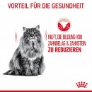 ROYAL CANIN Oral Care Katzenfutter trocken f&uuml;r gesunde Z&auml;hne 1,5 Kg