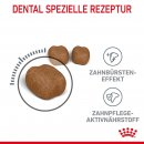 ROYAL CANIN Oral Care Katzenfutter trocken f&uuml;r gesunde Z&auml;hne 1,5 Kg
