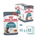 ROYAL CANIN Hairball Care Katzenfutter nass gegen...