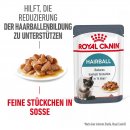 ROYAL CANIN Hairball Care Katzenfutter nass gegen Haarballen 12x85 g