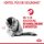 ROYAL CANIN Hairball Care Katzenfutter nass gegen Haarballen 12x85 g