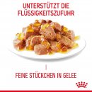 ROYAL CANIN LIGHT WEIGHT CARE in Gelee Nassfutter f&uuml;r zu &Uuml;bergewicht neigenden Katzen 12x85 g