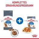 ROYAL CANIN LIGHT WEIGHT CARE in Gelee Nassfutter f&uuml;r zu &Uuml;bergewicht neigenden Katzen 12x85 g