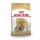 ROYAL CANIN Shih Tzu Adult Hundefutter trocken 7,5 Kg