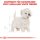 ROYAL CANIN West Highland White Terrier Adult Hundefutter trocken 3 Kg