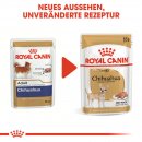 ROYAL CANIN Chihuahua Adult Hundefutter nass 12x85 g