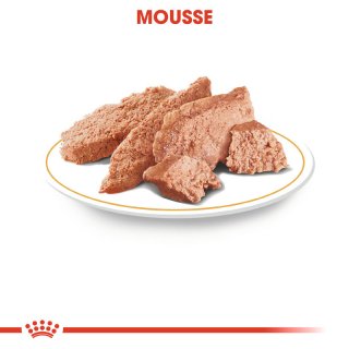 ROYAL CANIN Dachshund Adult Hundefutter nass fr Dackel 12x85 g - fel