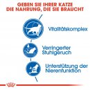 ROYAL CANIN INDOOR 7+ Trockenfutter f&uuml;r &auml;ltere Wohnungskatzen 3,5 Kg