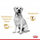 ROYAL CANIN Labrador Retriever Adult St&uuml;ckchen in So&szlig;e Nassfutter f&uuml;r Hunde 10x140 g