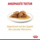 ROYAL CANIN Labrador Retriever Adult St&uuml;ckchen in So&szlig;e Nassfutter f&uuml;r Hunde 10x140 g