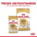 ROYAL CANIN Labrador Retriever Adult St&uuml;ckchen in So&szlig;e Nassfutter f&uuml;r Hunde 10x140 g