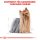 ROYAL CANIN Yorkshire Terrier Adult Hundefutter nass 12x85 g
