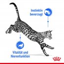 ROYAL CANIN INDOOR Sterilised in So&szlig;e Nassfutter f&uuml;r Wohnungskatzen 12x85 g