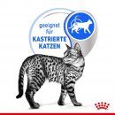 ROYAL CANIN INDOOR Sterilised in So&szlig;e Nassfutter f&uuml;r Wohnungskatzen 12x85 g