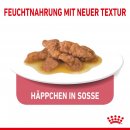 ROYAL CANIN INDOOR Sterilised in So&szlig;e Nassfutter f&uuml;r Wohnungskatzen 12x85 g