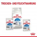 ROYAL CANIN INDOOR Sterilised in So&szlig;e Nassfutter f&uuml;r Wohnungskatzen 12x85 g