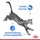 ROYAL CANIN INDOOR Sterilised in Gelee Nassfutter f&uuml;r Wohnungskatzen 12x85 g