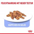 ROYAL CANIN INDOOR Sterilised in Gelee Nassfutter f&uuml;r Wohnungskatzen 12x85 g