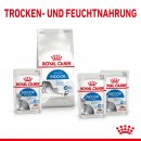 ROYAL CANIN INDOOR Sterilised in Gelee Nassfutter f&uuml;r Wohnungskatzen 12x85 g