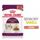 ROYAL CANIN SENSORY Smell Nassfutter in Soße für wählerische Katzen 12x85 g