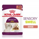 ROYAL CANIN SENSORY Smell Nassfutter in Soße...