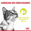 ROYAL CANIN SENSORY Smell Nassfutter in So&szlig;e f&uuml;r w&auml;hlerische Katzen 12x85 g