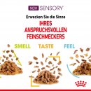 ROYAL CANIN SENSORY Smell Nassfutter in So&szlig;e f&uuml;r w&auml;hlerische Katzen 12x85 g