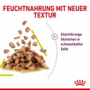 ROYAL CANIN SENSORY Smell Nassfutter in So&szlig;e f&uuml;r w&auml;hlerische Katzen 12x85 g