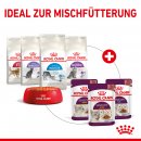 ROYAL CANIN SENSORY Smell Nassfutter in So&szlig;e f&uuml;r w&auml;hlerische Katzen 12x85 g