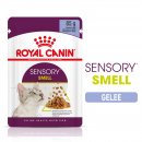 ROYAL CANIN SENSORY Smell Nassfutter in Gelee für wählerische Katzen 12x85 g