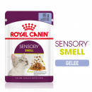 ROYAL CANIN SENSORY Smell Nassfutter in Gelee f&uuml;r w&auml;hlerische Katzen 12x85 g