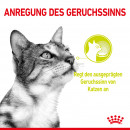 ROYAL CANIN SENSORY Smell Nassfutter in Gelee f&uuml;r w&auml;hlerische Katzen 12x85 g