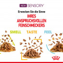 ROYAL CANIN SENSORY Smell Nassfutter in Gelee f&uuml;r w&auml;hlerische Katzen 12x85 g