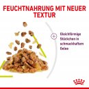 ROYAL CANIN SENSORY Smell Nassfutter in Gelee f&uuml;r w&auml;hlerische Katzen 12x85 g