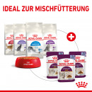 ROYAL CANIN SENSORY Smell Nassfutter in Gelee f&uuml;r w&auml;hlerische Katzen 12x85 g